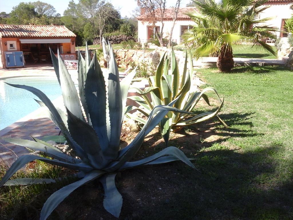 Mas Des Lys Hotell Roquebrune-sur-Argens Eksteriør bilde